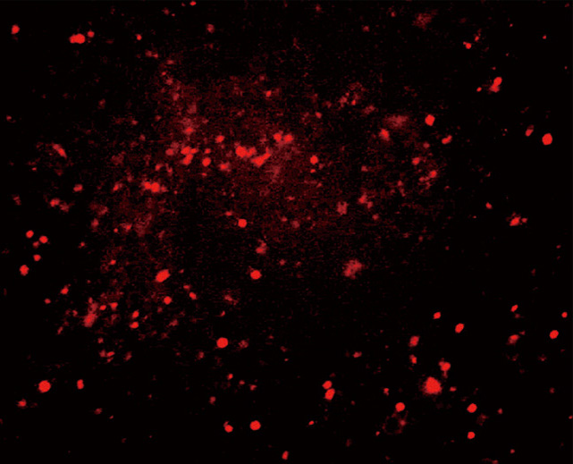 23.9 ZC305 下圖8.jpg